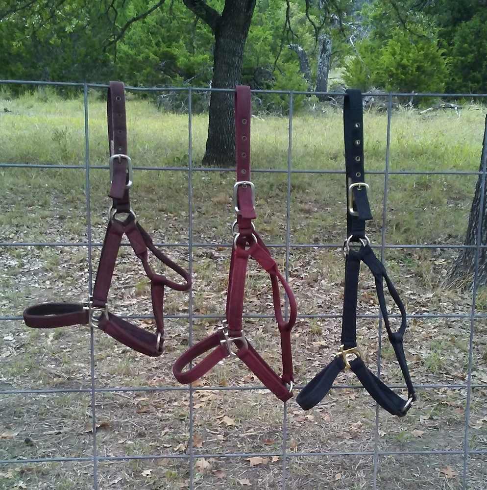Horse Halters